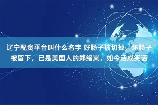 辽宁配资平台叫什么名字 好肠子被切掉，坏肠子被留下，已是美国人的郑绪岚，如今活成笑话